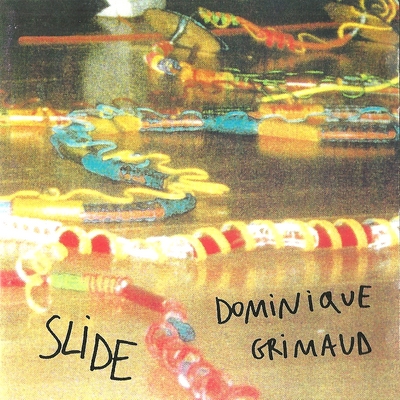 Dominique Grimaud Slide 1999